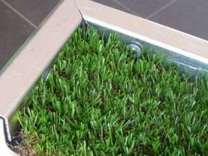 Synthetic turf for outdoor playhouse